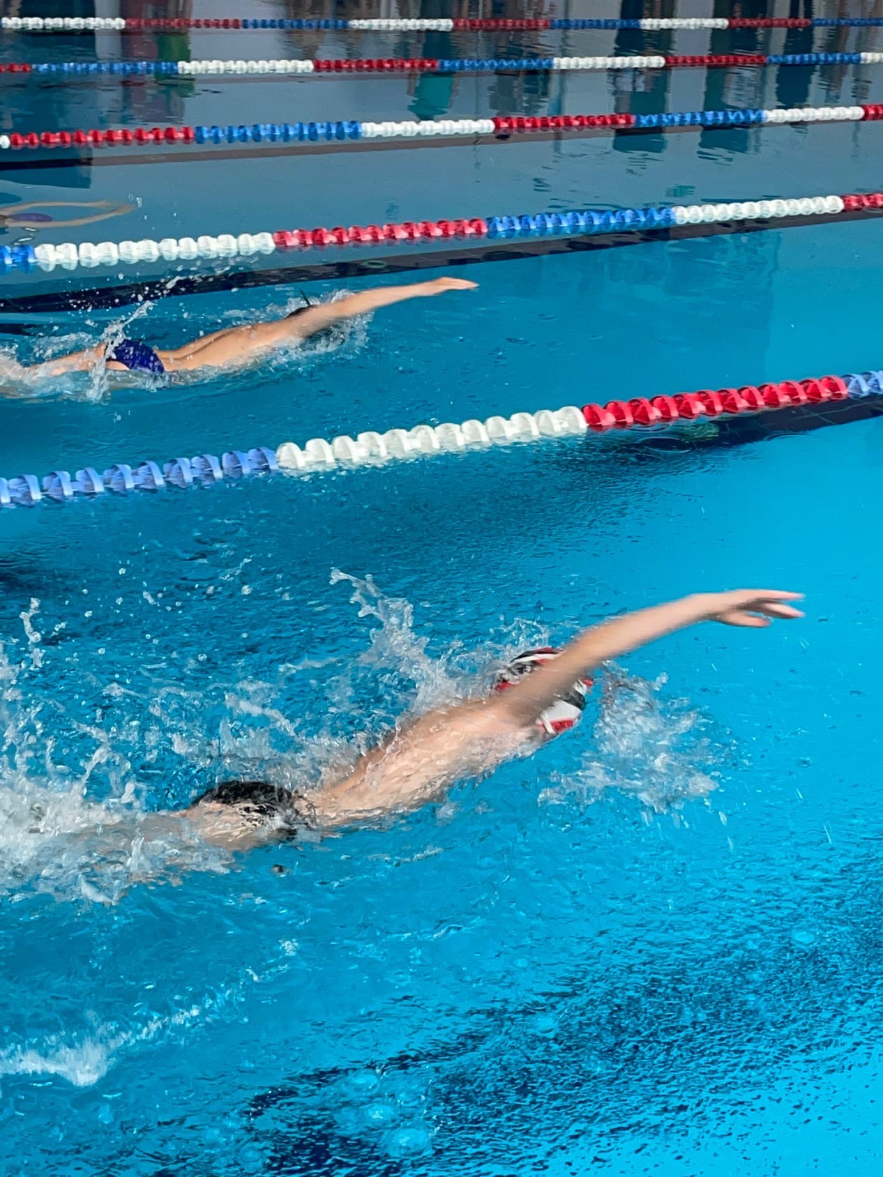 You are currently viewing Прошли зональные этапы областных соревнований по плаванию