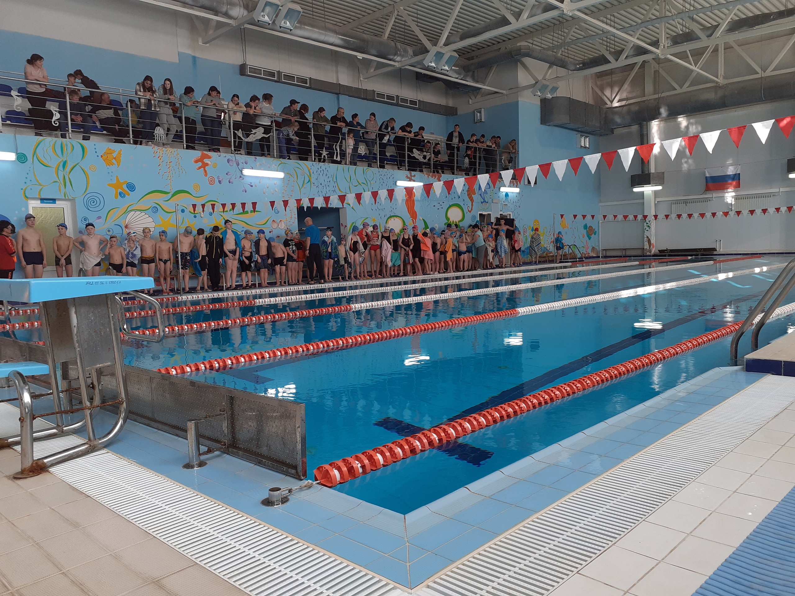 Вы сейчас просматриваете В Пензенской области пройдут областные открытые соревнования по плаванию среди школьников, посвященные памяти М.В. Плотниковой